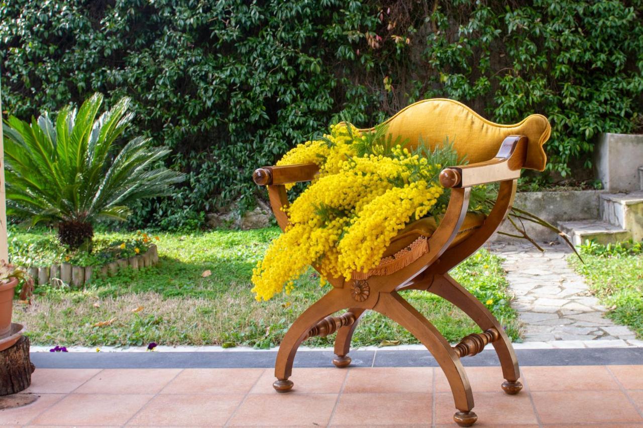 Villa Dei Fiori - Exclusive Villa With Garden In Sorrento Coast Вико-Экуенсе Экстерьер фото